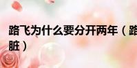 路飛為什么要分開兩年(路飛為什么有兩顆心臟)
