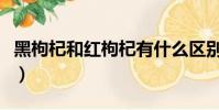 黑枸杞和紅枸杞有什么區別(黑枸杞和紅枸杞)