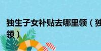 獨生子女補貼去哪里領(獨生子女補貼在哪里領)