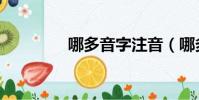 哪多音字注音(哪多音字)