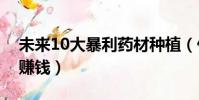 未來10大暴利藥材種植(什么藥材好種植又賺錢)