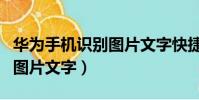 華為手機識別圖片文字快捷鍵(華為手機識別圖片文字)