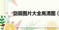 劍眉圖片大全高清圖(劍眉圖片)