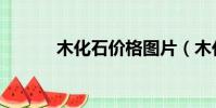 木化石價格圖片(木化石價格)