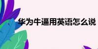 華為牛逼用英語怎么說(華為牛逼)