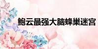鮑云最強大腦蜂巢迷宮(蜂巢迷宮)