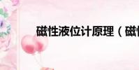 磁性液位計原理(磁性液位計)
