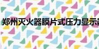 鄭州滅火器膜片式壓力顯示器(鄭州滅火器)