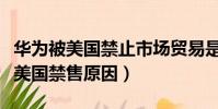 華為被美國禁止市場貿易是什么時候(華為被美國禁售原因)