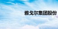 雅戈爾集團股份(雅)