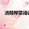 涪陵榨菜待遇 10萬（政府補助涪陵榨菜）