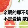 親愛的那不是愛情歌詞表達的意思（親愛的那不是愛情 歌詞）