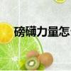 磅礴力量怎么寫（磅礴力量意思是什么）