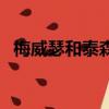 梅威瑟和泰森誰強（梅威瑟和泰森誰厲害）