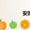 安賢珉安三胖（安賢珉）