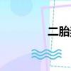 二胎獎勵政策（二胎獎勵）