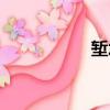 塹壕槍射程（塹壕槍）
