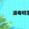 潘粵明董潔（潘粵明好友撕董潔）