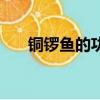 銅鑼魚的功效與作用（銅鑼魚的做法）