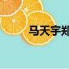 馬天宇鄭爽電視劇（馬天宇 鄭爽）