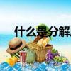 什么是分解質因數概念（質因數的概念）