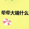犖犖大端什么意思解釋（犖犖大端什么意思）