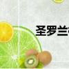 圣羅蘭標志含義（圣羅蘭標志）