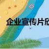 企業宣傳片欣賞怎么寫（企業宣傳片欣賞）