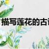 描寫蓮花的古詩整首（描寫蓮花的古詩10首）