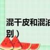 混干皮和混油皮區別圖片（混干皮和混油皮區別）