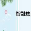 智融集團有限公司（智融集團）