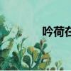 吟荷在哪個位置（吟荷在哪）