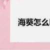 海葵怎么吃最有營養（海葵怎么吃）