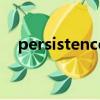 persistence是什么意思（persistence）