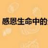 感恩生命中的貴人文案（感恩生命中的貴人）