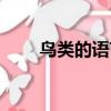 鳥類的語言閱讀答案（鳥類的語言）