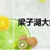 梁子湖大閘蟹禮券（梁子湖大閘蟹）
