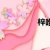梓唯衣作品集（梓唯衣）