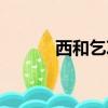 西和乞巧節圖片（西和乞巧節）