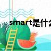 smart是什么意思?（smart是什么意思）