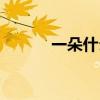 一朵什么什么成語（一朵什么）