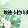 埃迪卡拉山發現的化石（埃迪卡拉動物群）
