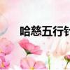 哈慈五行針使用說明書（哈慈五行針）