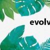 evolve如何記憶（evolver）