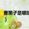 曹黑子是哪部電視劇的人物（曹黑毛老人離世）