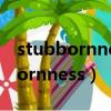 stubbornness是什么意思中文翻譯（stubbornness）