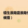 橘生淮南盛淮南什么時候喜歡洛枳（橘生淮南電視劇什么時候播）