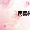 民營化是什么意思（民營化）