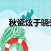 秋瓷炫于曉光離婚了嗎（秋瓷炫 于曉光）