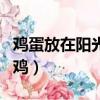 雞蛋放在陽光下可以孵化么（雞蛋放陽臺孵出雞）
